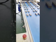 Máquina da extrusora da barra de data da proteína de Papa High Speed Multi Line